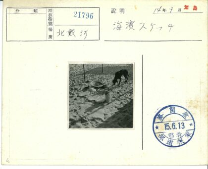 沙滩上的狗与编织篮帽.jpg