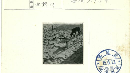 沙滩上的狗与编织篮帽.jpg