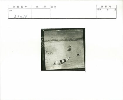 沙滩人与狗海边静坐.jpg