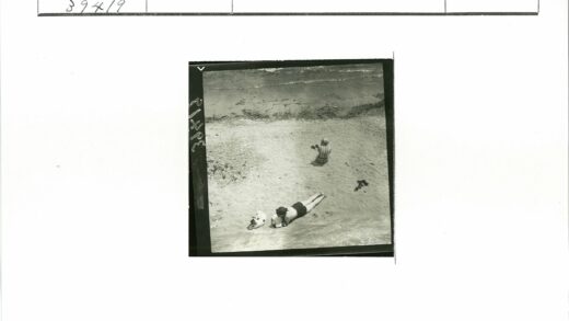 沙滩人与狗海边静坐.jpg