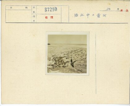 沙滩地平线海藻散落.jpg