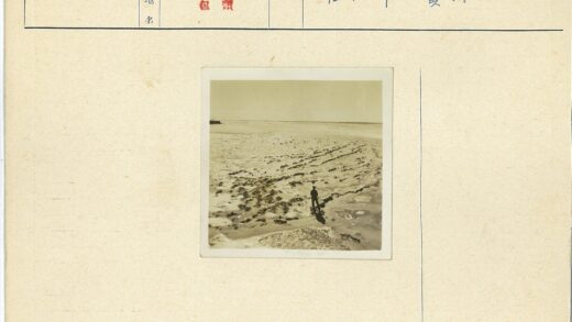 沙滩地平线海藻散落.jpg