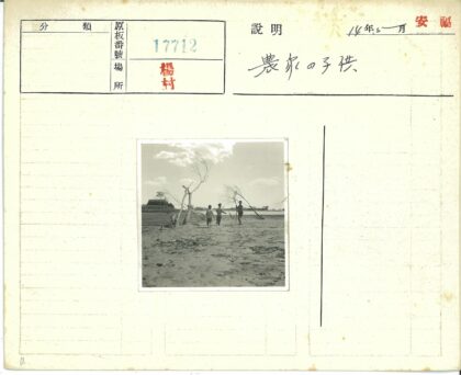 沙滩孩童嬉戏干树水屋景.jpg