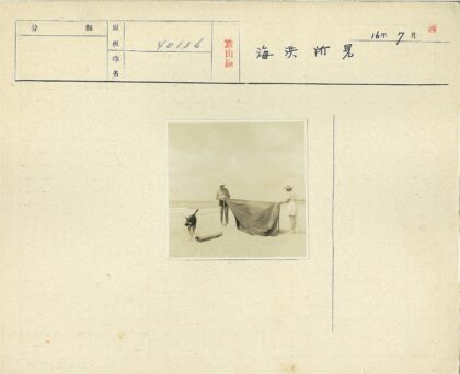 沙滩搭布与漫步狗.jpg