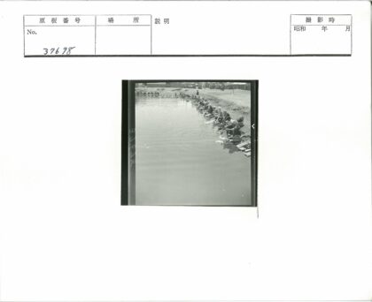 沙滩边洗衣的日常生活.jpg
