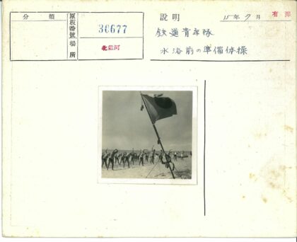 沙滩运动旗帜飘扬海景.jpg