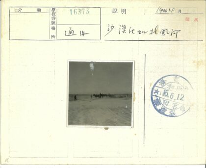 沙滩马车历史风情.jpg