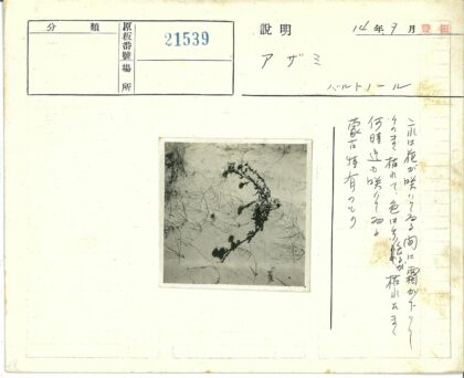 沙漠干草阴影景观.jpg