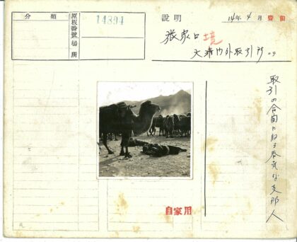 沙漠旅人憩息骆驼旁.jpg