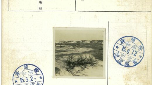 沙漠灌木与沙丘景观.jpg