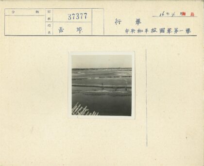 沙漠绿洲行人远眺.jpg