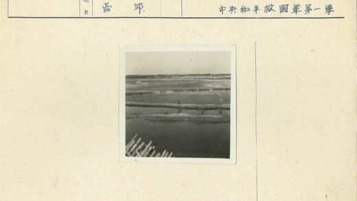 沙漠绿洲行人远眺.jpg