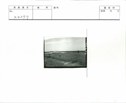 沙漠绿洲远眺建筑群.jpg