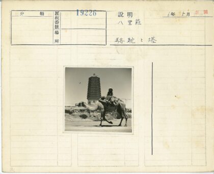 沙漠驼影与古塔.jpg