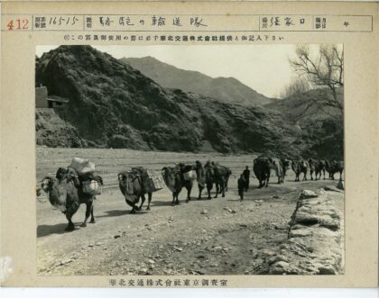 沙漠驼队商路行.jpg