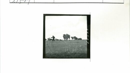 沙漠驼队运送补给.jpg