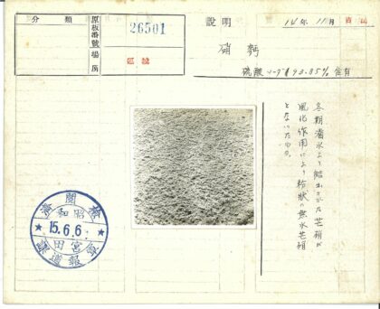 沙质纹理细节特写.jpg