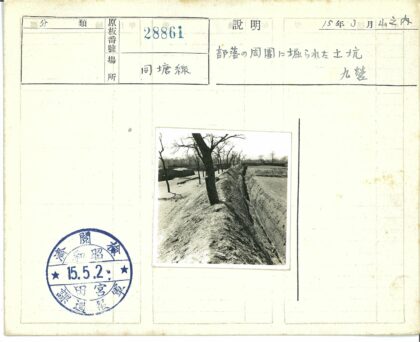 沟渠树木生长景象.jpg