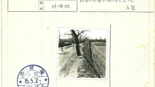 沟渠树木生长景象.jpg