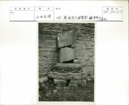 沧桑石墙杂草丛生.jpg