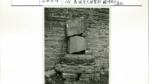 沧桑石墙杂草丛生.jpg