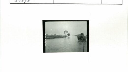 河上小船与两岸树林.jpg