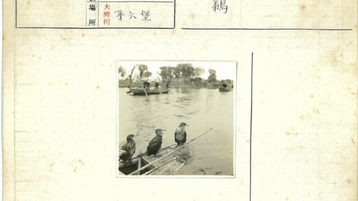 河中小船三鸟栖息图.jpg