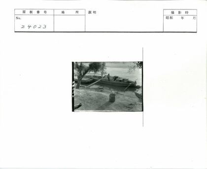 河岸停船与大树.jpg