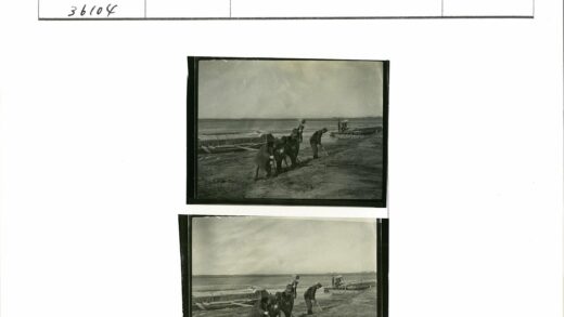 河岸挖掘工人与停泊船只.jpg
