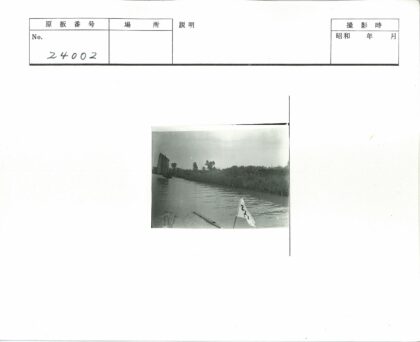 河岸旗帜田野树木云空.jpg
