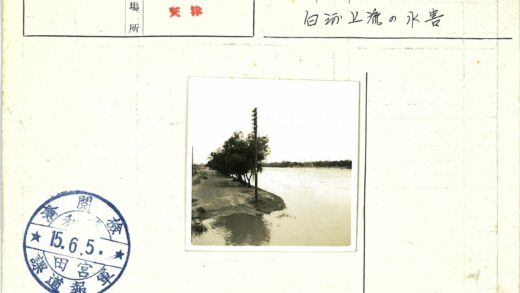 河岸树影与电线杆倒映.jpg