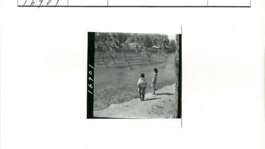 河岸树影与远岸建筑.jpg