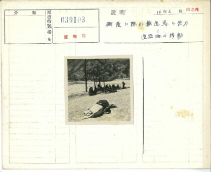 河岸树荫下休憩的人们.jpg