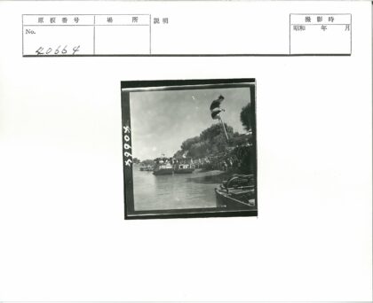 河岸树荫下停靠的船只.jpg
