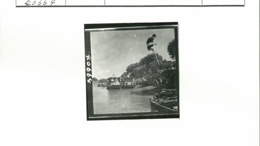 河岸树荫下停靠的船只.jpg