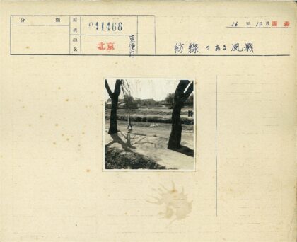 河岸树荫下散步的人群与鸭子.jpg