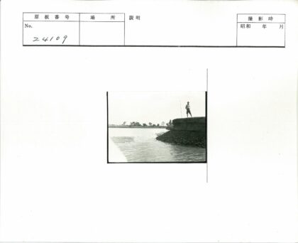 河岸远眺树林景色.jpg