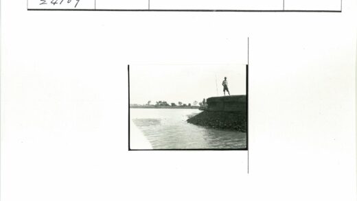 河岸远眺树林景色.jpg