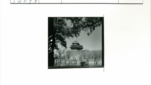 河畔古建冬日树影.jpg