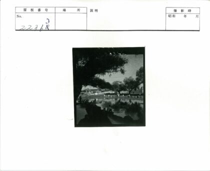 河边人家与绿树倒影.jpg