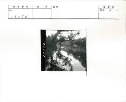 河边倒影与阴天风景.jpg