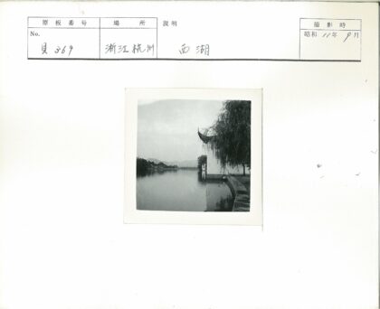 河边古树远山云天下.jpg