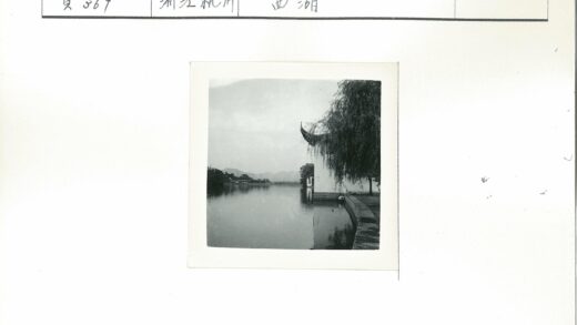 河边古树远山云天下.jpg