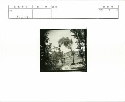 河边大树与传统建筑风光.jpg