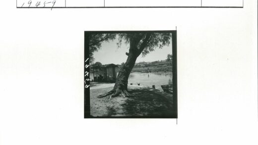 河边大树与码头风景.jpg