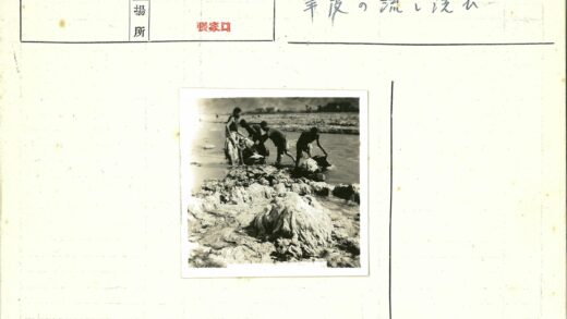 河边工人搬运羊毛捆.jpg