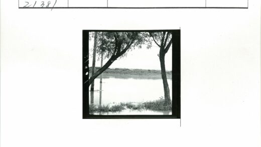 河边树影与水中倒映.jpg
