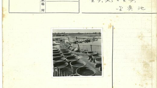 河边水壶与临时桥梁风景.jpg