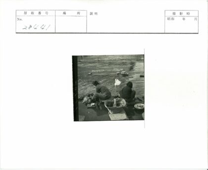 河边洗衣与白天鹅.jpg