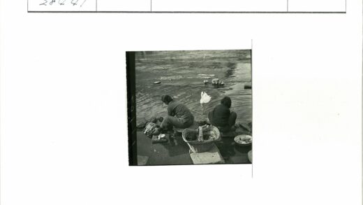 河边洗衣与白天鹅.jpg